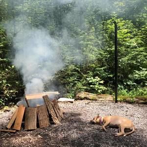 Meet your Posher, Steve